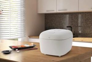 Zojirushi 10杯米微电脑电饭煲特惠，折后$151.43包邮